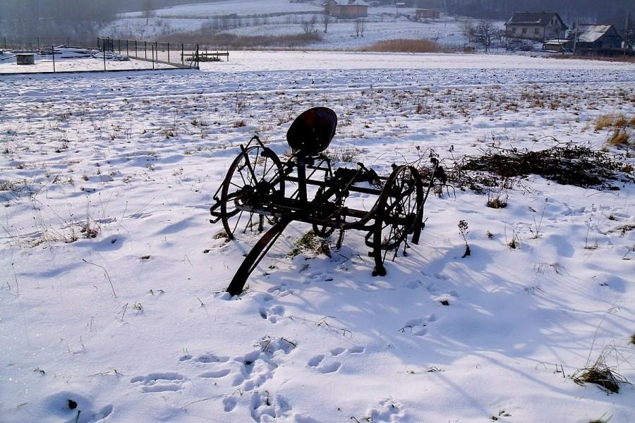A gdzie koń?
