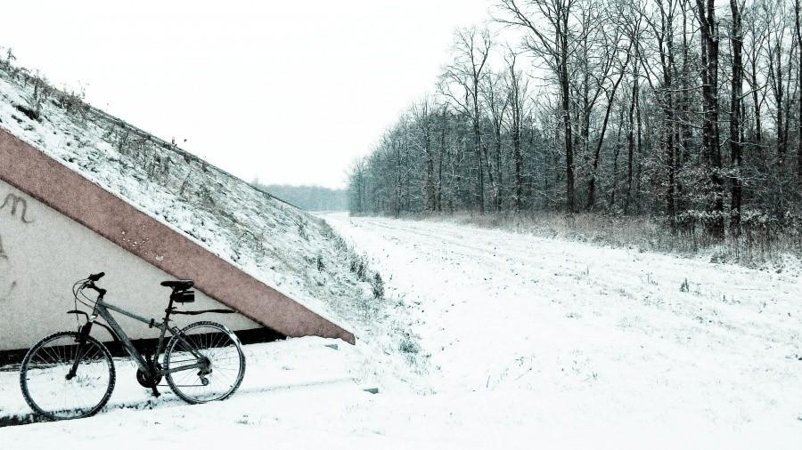 Pod obwodnicą