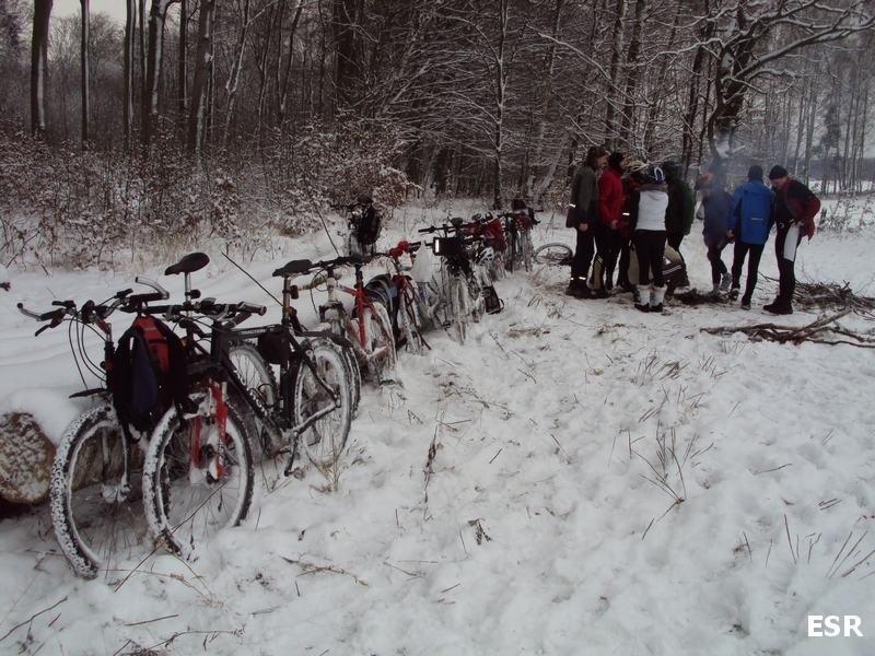 rowerowa stajnia