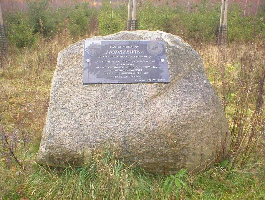 OBELISK ,,LAS KOMUNALNY MODRZEWINA''