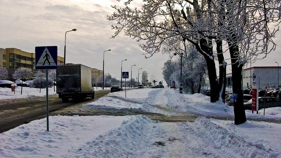 Gościńczyk