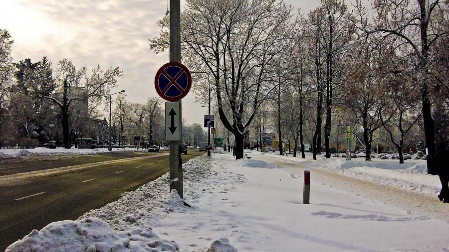 Partyzantów