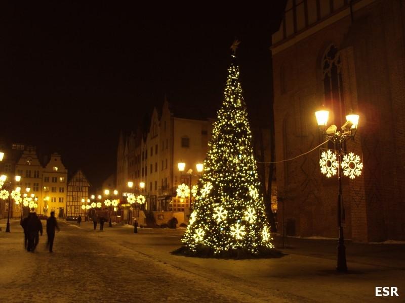 Choinka od Henryka dla elblążan.