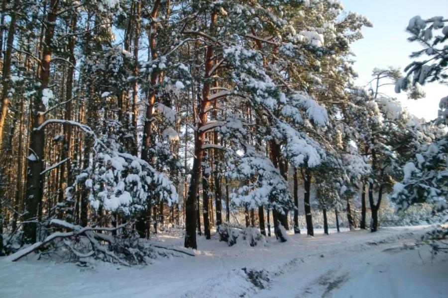 Więcej słońca ...