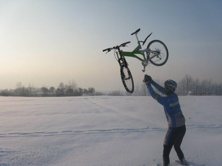 Kona ma moc. Fot. Włochaty.