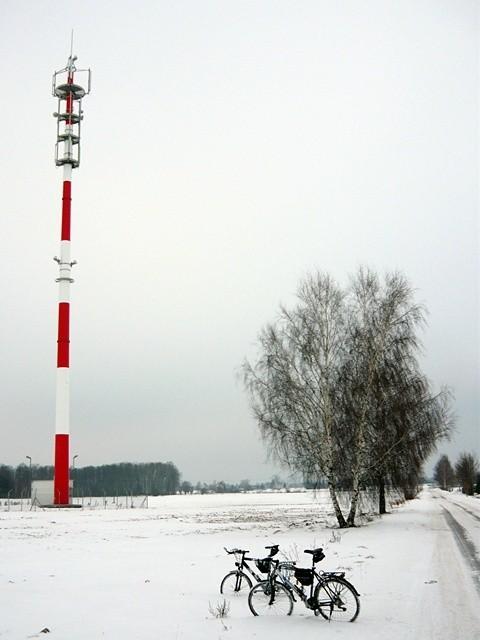 Zima