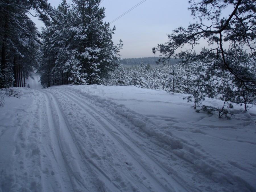 Trasa w Biskupicach