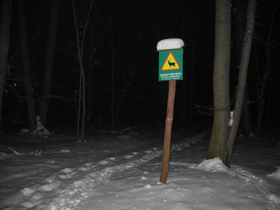 Ostoja