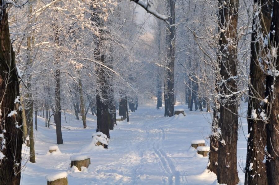 Park Środula