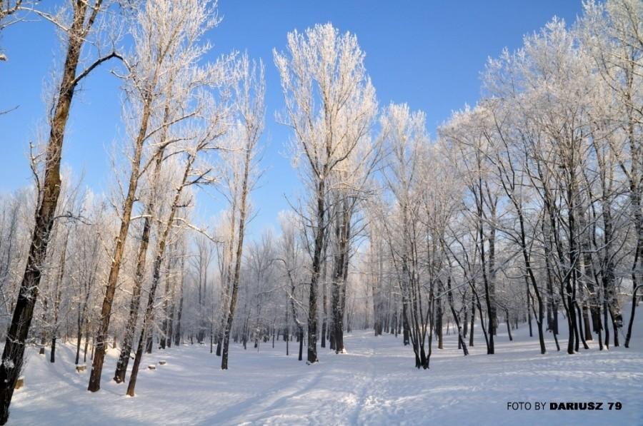 Park Środula