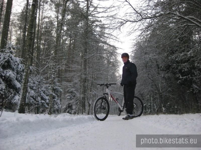 zimowa aura w lesie