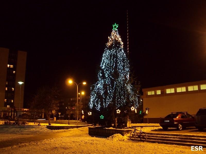 Choinka na Placu Jagiellończyka.