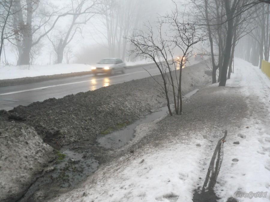 Mgła i roztopy na mikulczyckiej ściezce rowerowej.