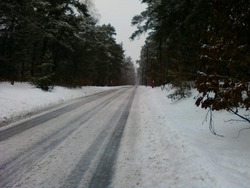 ul. Skrzydlata