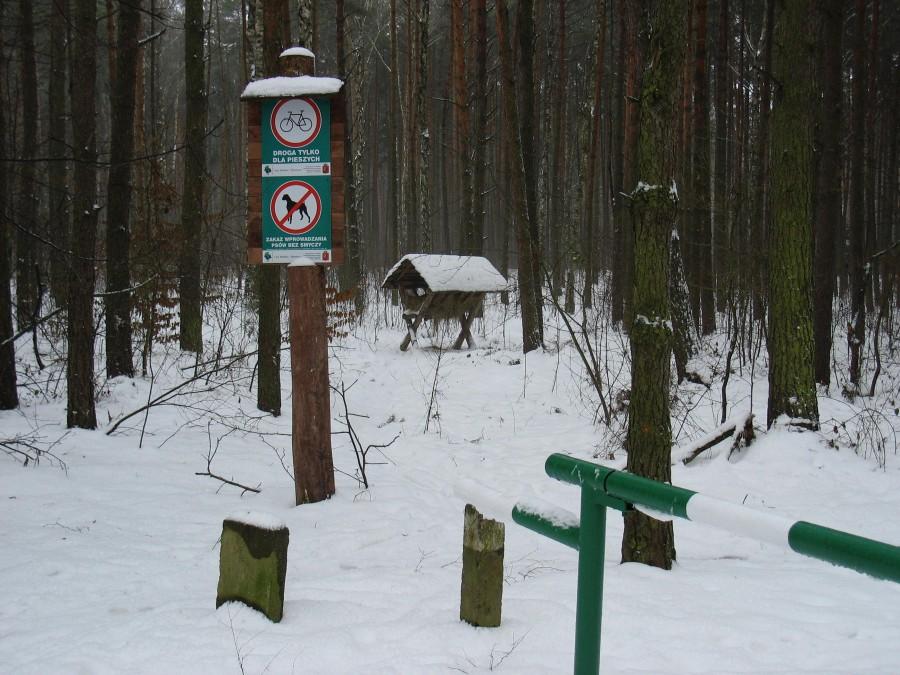 Do paśnika, tylko na piechotę !