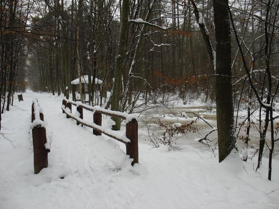Mostek nad stawem