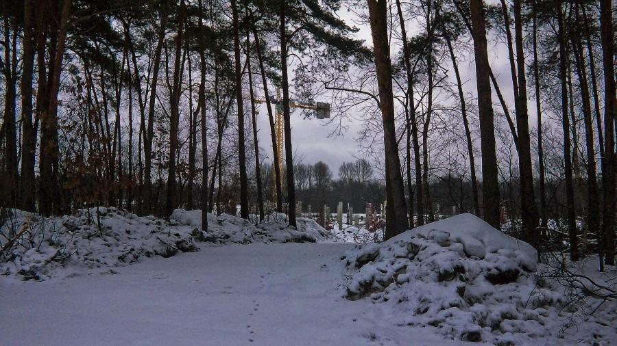 Park naukowy