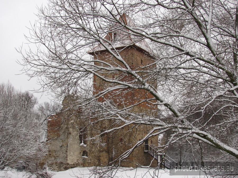 zamek Sośnierza