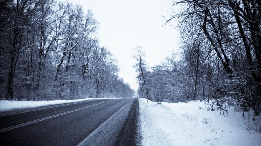 Pięknie spowite śniegiem drzewa
