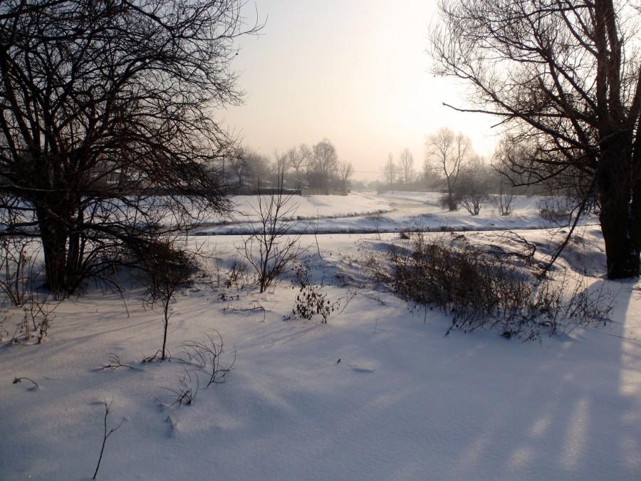 Warta w śniegu
