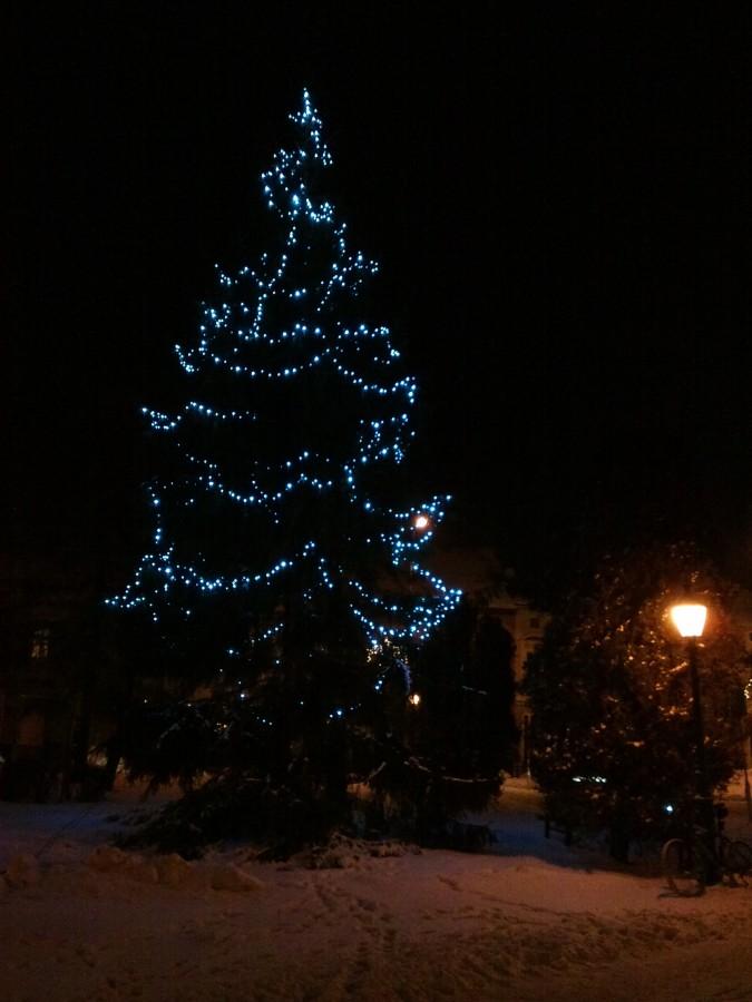 Buk,rynek,choinka i rower