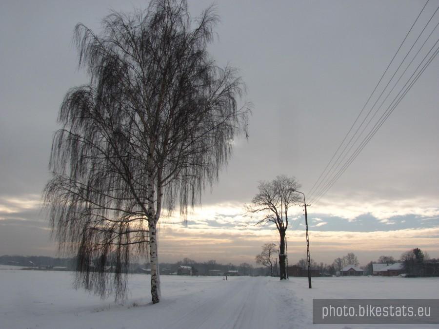 na Brzegu są dobre trasy biegowe