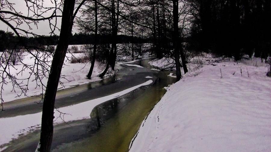 Kurówka zimą