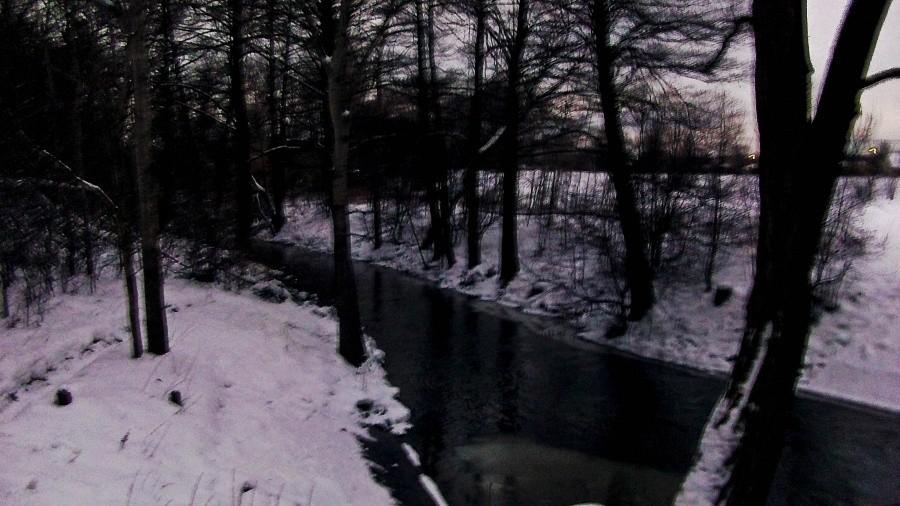 Kurówka zimą