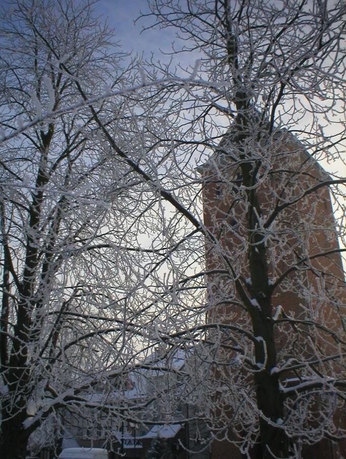 ELBLĄSKA SZADŹ