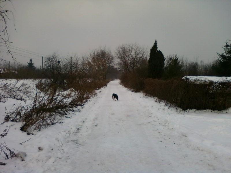 Ul. Skarpowa - tutaj przynajmniej jest spokój