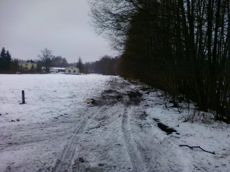 Dzień Pieszego Rowerzysty