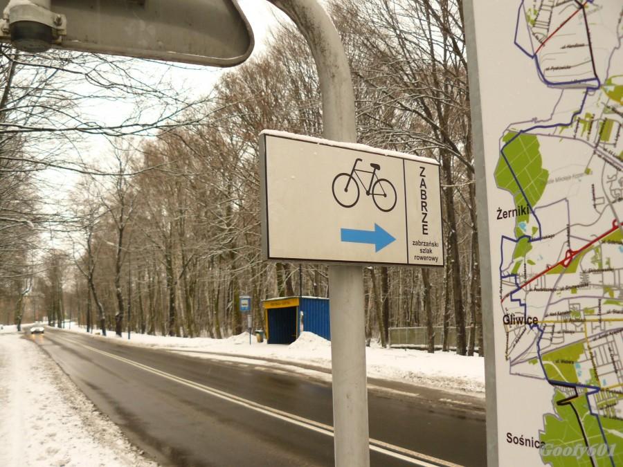 Właściwy kierunek?
