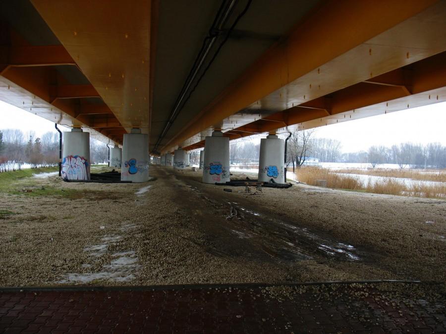 Pod estakadą Mostu Siekierkowskiego