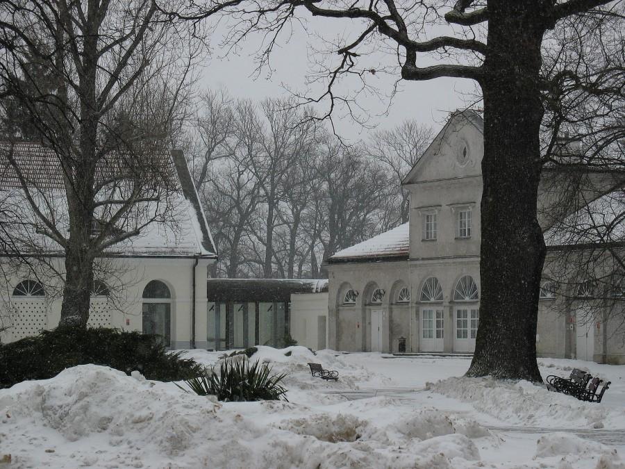 Natolin