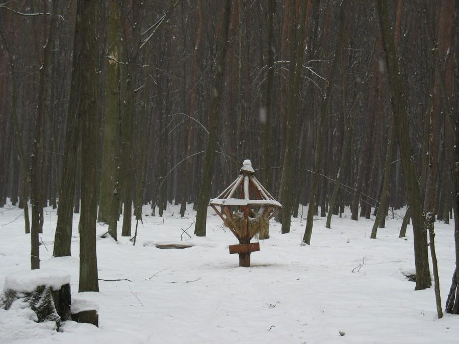 Paśnik