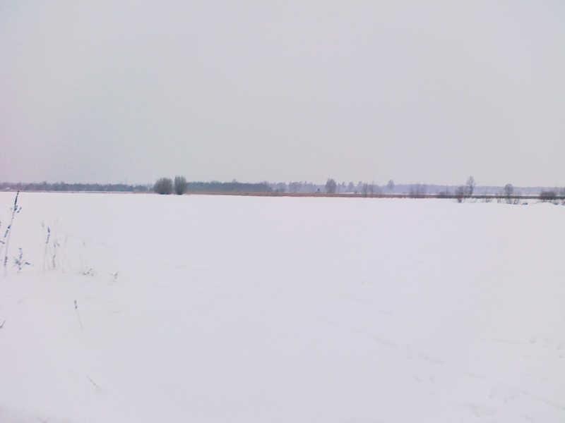 Białe pola