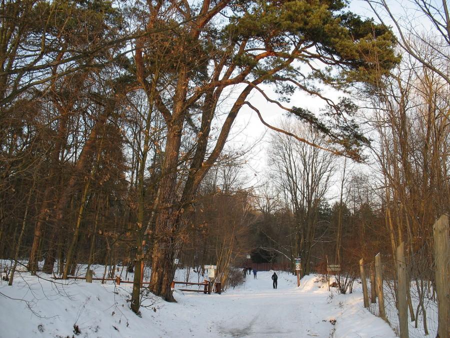 Główne skrzyżowanie i węzeł szlaków