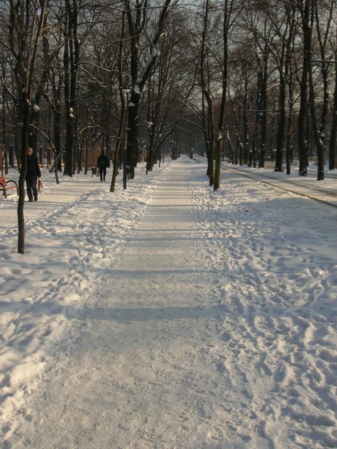 Dziękuję pieszym !!