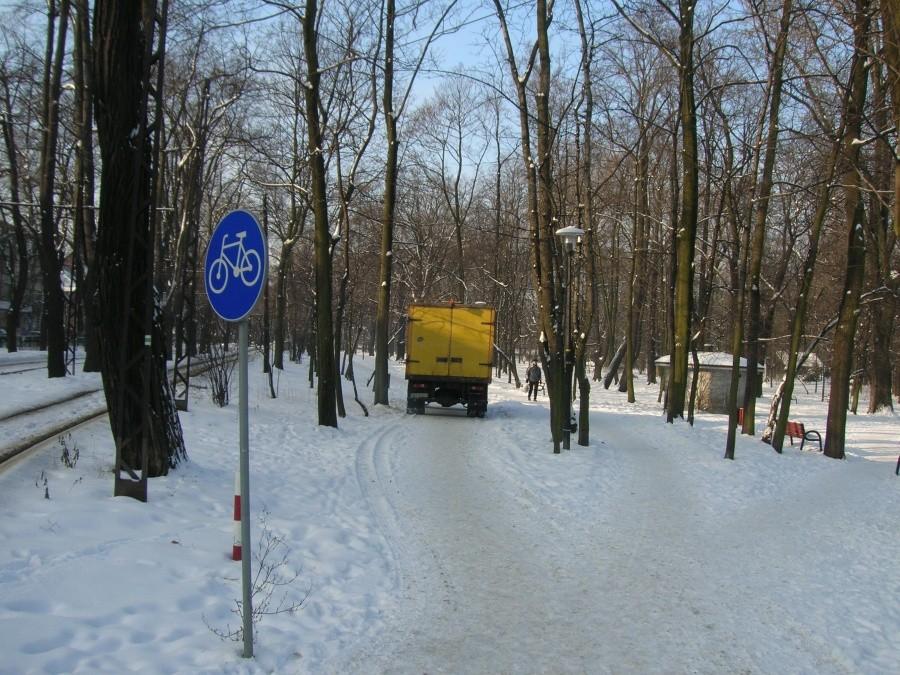 "Gwiazda" na drodze :(