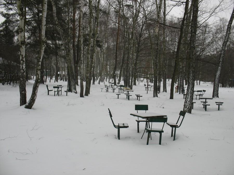 Powsinek - kącik szachowo - brydżowy