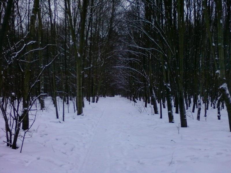 Arturówek