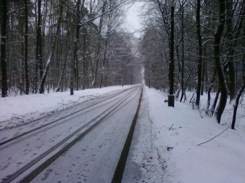ul. Skrzydlata