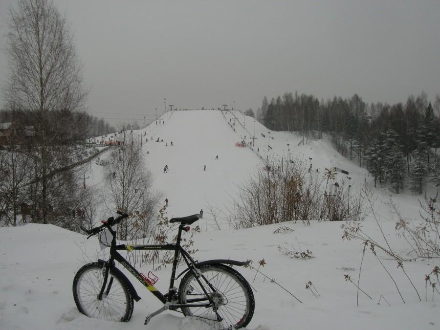 Stok narciarski