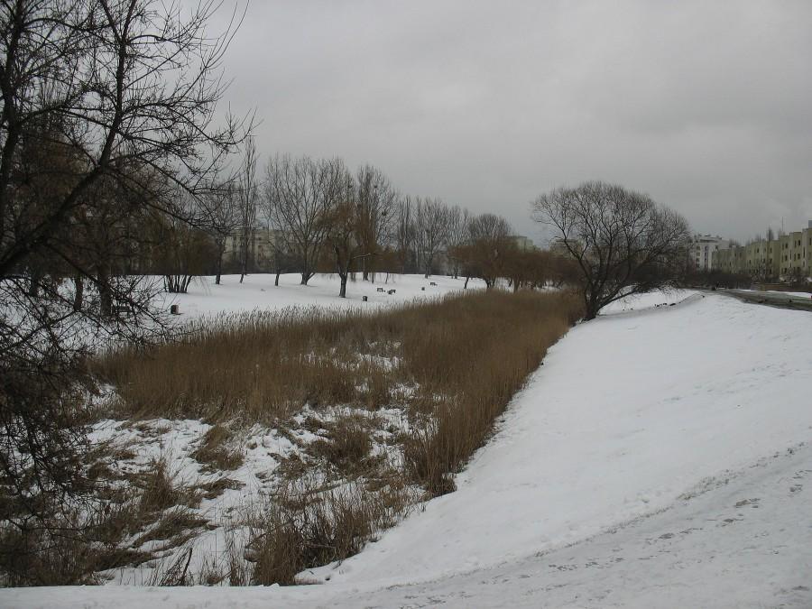 Fosa na ul. Idzikowskiego