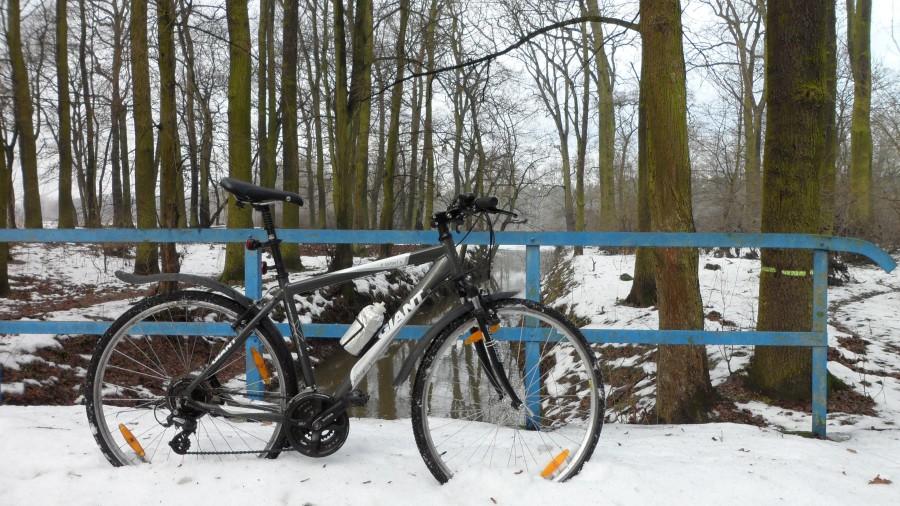 Giant w wersji z błotnikami