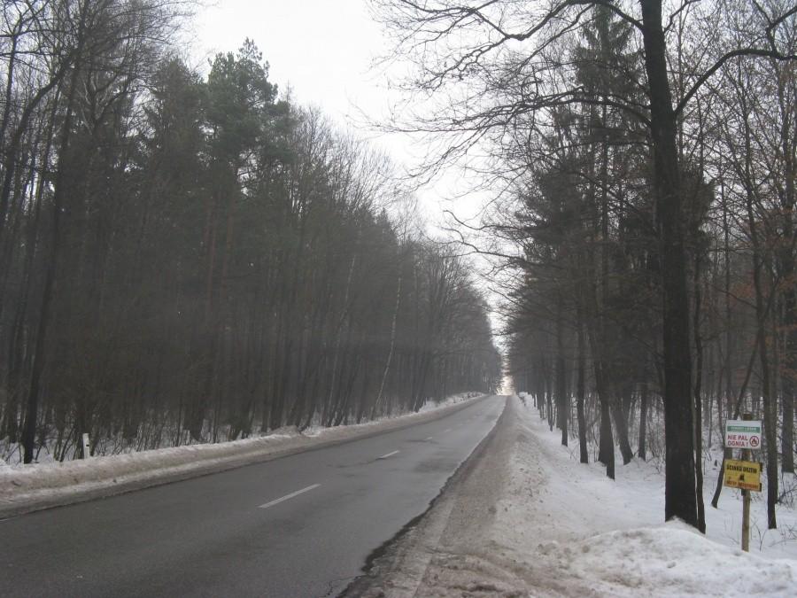 Droga do Błędowa