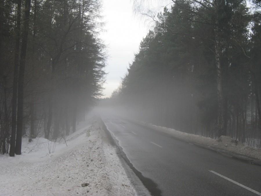 mgła