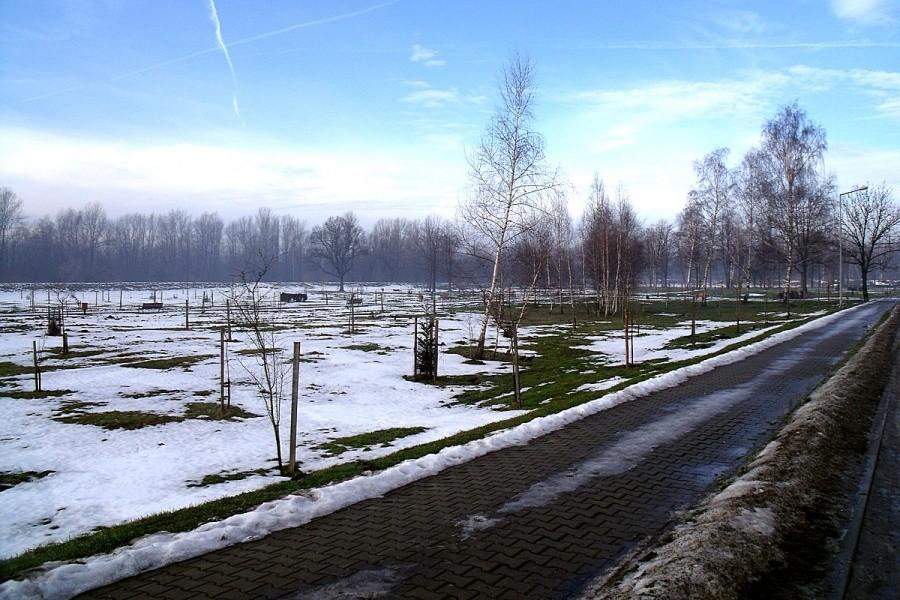Zaśnieżony park w Kętach