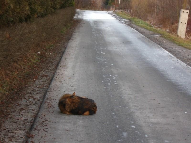 Kiepskie miejsce na sen :D