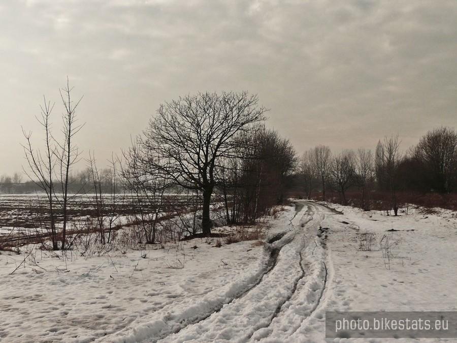 Zapomniałem zrobić zdjęcie na Żabich Dołach